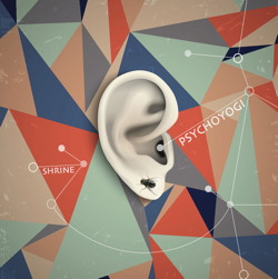 PsychoYogi's Shrine album art